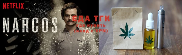 индика Балахна