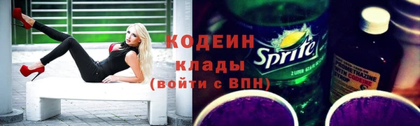 индика Балахна
