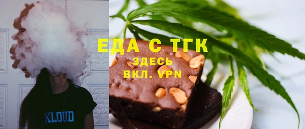 индика Балахна