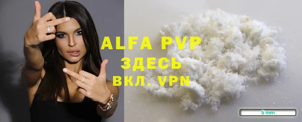 индика Балахна