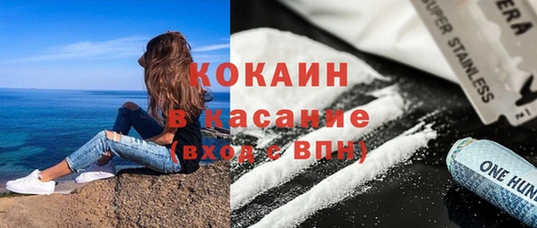 индика Балахна