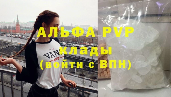 индика Балахна
