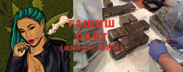индика Балахна