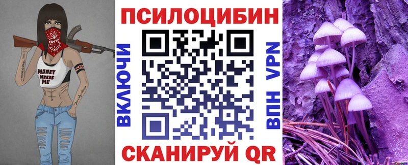 где купить наркоту  Новый Уренгой  Псилоцибиновые грибы прущие грибы 